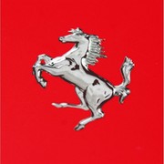 Буцефальные кони группа в Моем Мире.
