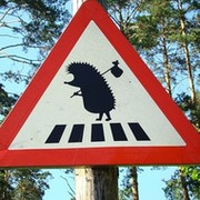 Ёжик в тумане  группа в Моем Мире.