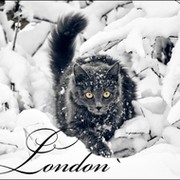 London`(Ремонт) группа в Моем Мире.
