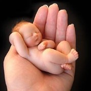 net_abort группа в Моем Мире.