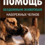 Помощь бездомным животным Набережных Челнов.Татарстан группа в Моем Мире.