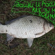 Сообщество рыболовов Кировского района. группа в Моем Мире.