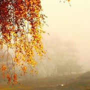 Александр shegolev on My World.