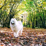 Наталья Полфинова on My World.