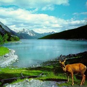 Айгуль Юсупова on My World.