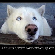 Андрей Яя on My World.