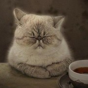 n. e. в Моем Мире.