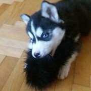 Иришка Иришка on My World.