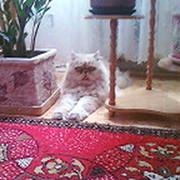 Татьяна Татьянина on My World.