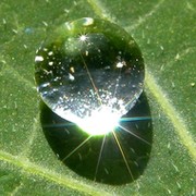 Вика - Клондайк Супер Сити on My World.