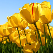 Александра Довнар on My World.