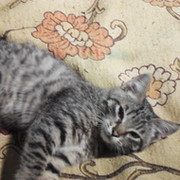 Анна Логинова on My World.