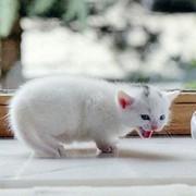 Алла Бурда on My World.