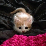 Сергей . on My World.