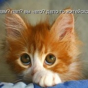 Людмила Сухова on My World.