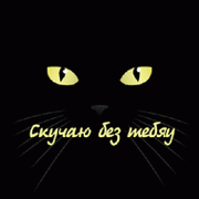 Элиc *** on My World.