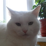 Евгений Иванович on My World.