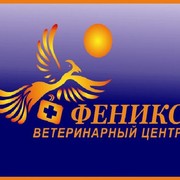 Феникс пушкино медцентр