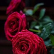 Александра Сергеевна on My World.