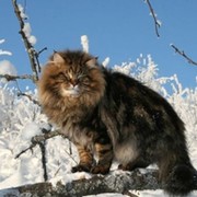 Юля В. on My World.