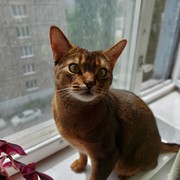 Юлия Р. on My World.