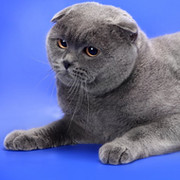 НАТАЛЬЯ КОТЛЯРОВА on My World.
