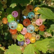 майя аккушимова on My World.