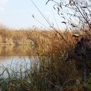 Alexey Kotelnikov в Моем Мире.