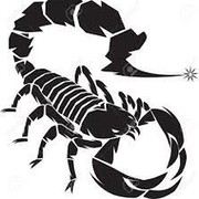 Black Scorpion on My World.