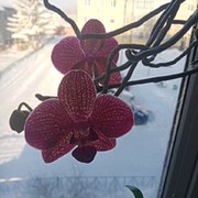 Наталия Стахина on My World.