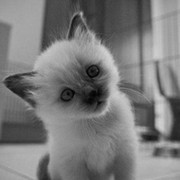 LTM MAY on My World.