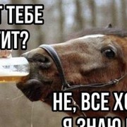 Мансур Шаяхметов on My World.