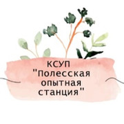 Вероника Мельянец on My World.