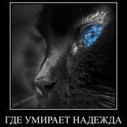 ♣ Александр *** ☼ on My World.