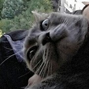 Дмитрий Никитин on My World.