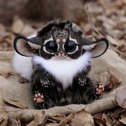 Оксана Лонщакова on My World.