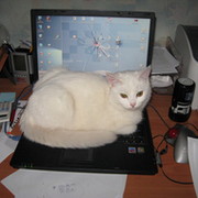 Неизвестно Неизвестно on My World.