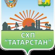 Ооо татарстан