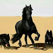 Павел Шалюта on My World.
