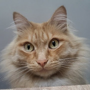 Анна Анна on My World.
