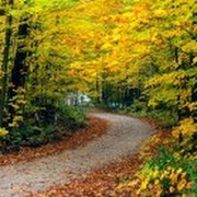 филиал С-П on My World.