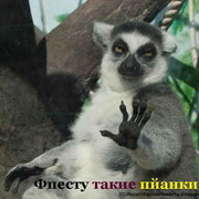 Максим Кандаулов on My World.