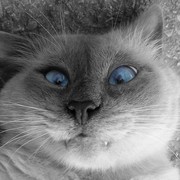 Валентина Володяева on My World.