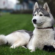 ванда святенко on My World.