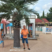 Алексей Алексеев on My World.